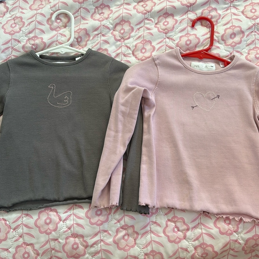 Zara Pink and Gray Long Sleeve Tees